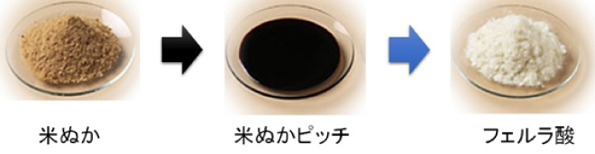 米ぬか 米ぬかピッチ フェルラ酸