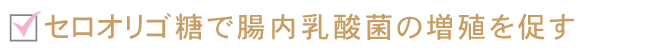 セロオリゴ糖で腸内乳酸菌の増殖を促す