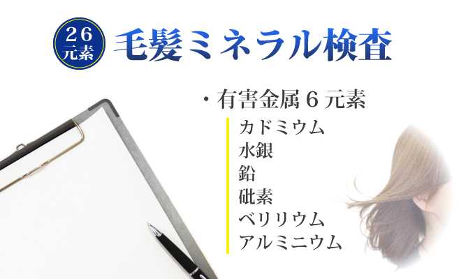 2021年製 毛髪ミネラル検査 必須ミネラル12元素 有害金属5元素 準有害金属3元素 参考ミネラル3元素 その他の金属6元素 