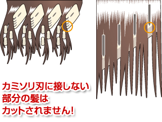 カミソリ刃に接しない 部分の髪は カットされません！